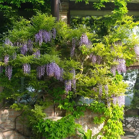 La Casa Sopra Le Nuvole Villa Medesano