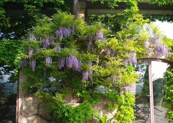 La Casa Sopra Le Nuvole 빌라 메데사노